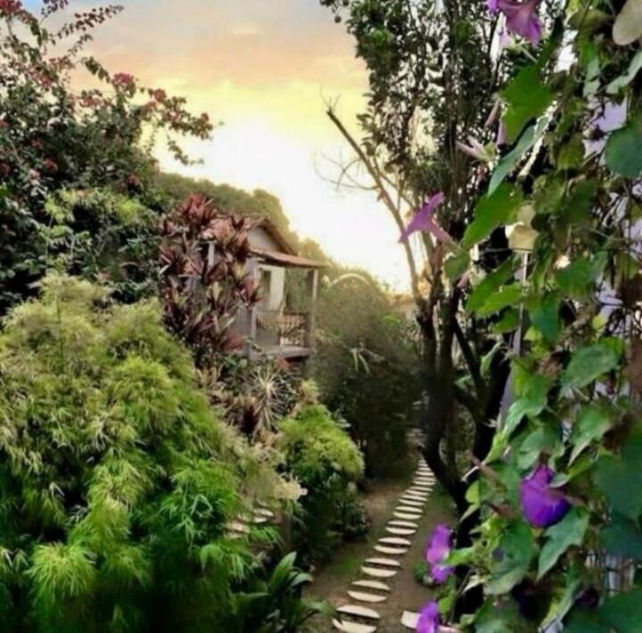Pousada Trilha Violeta São Jorge Buitenkant foto